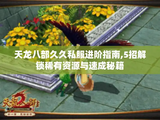 天龙八部久久私服进阶指南,5招解锁稀有资源与速成秘籍