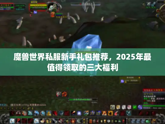 魔兽世界私服新手礼包推荐，2025年最值得领取的三大福利