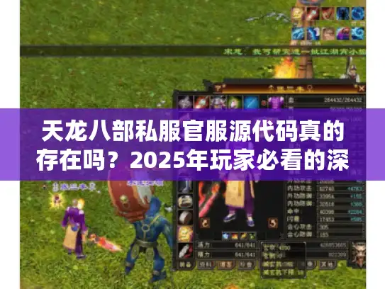 天龙八部私服官服源代码真的存在吗？2025年玩家必看的深度揭秘