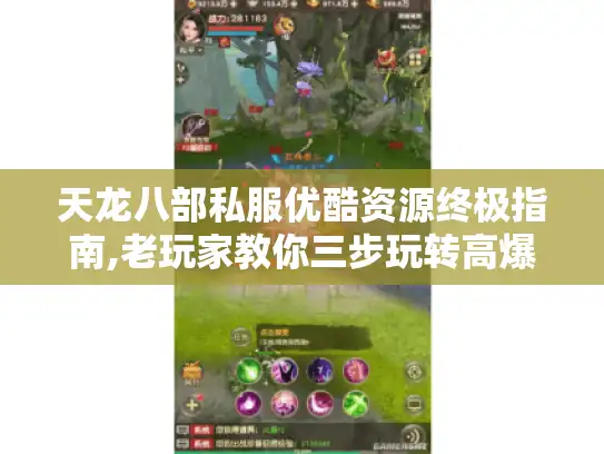 天龙八部私服优酷资源终极指南,老玩家教你三步玩转高爆版本