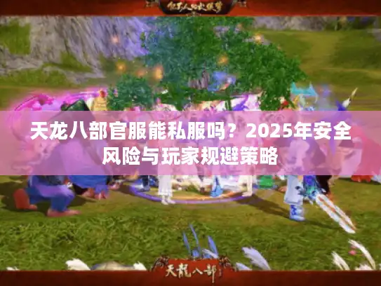 天龙八部官服能私服吗？2025年安全风险与玩家规避策略