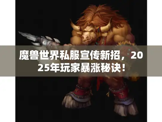 魔兽世界私服宣传新招，2025年玩家暴涨秘诀！