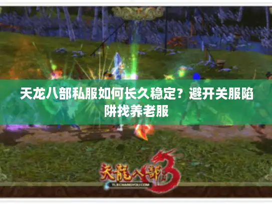 天龙八部私服如何长久稳定？避开关服陷阱找养老服