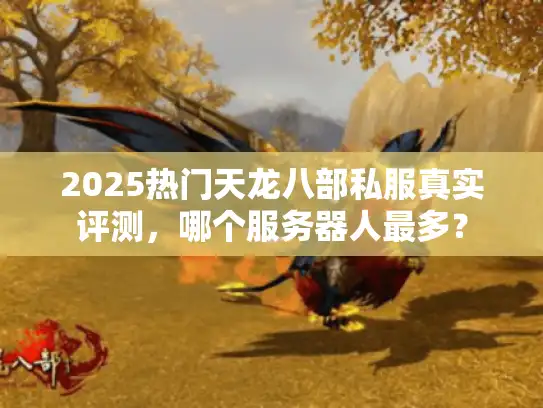 2025热门天龙八部私服真实评测，哪个服务器人最多？