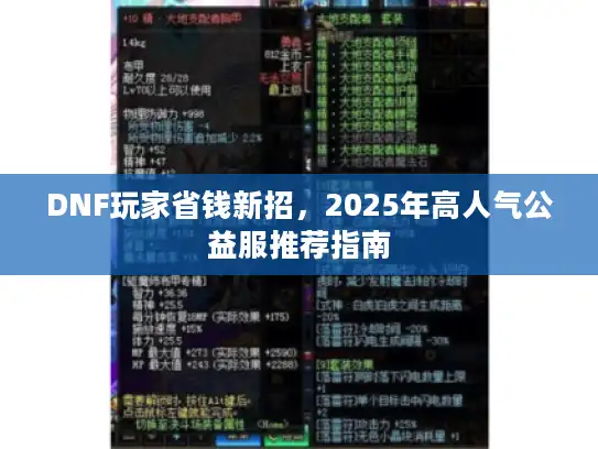 DNF玩家省钱新招,2025年高人气公益服推荐指南 DNF玩家省钱新招,2025年高人气公益服推荐指南