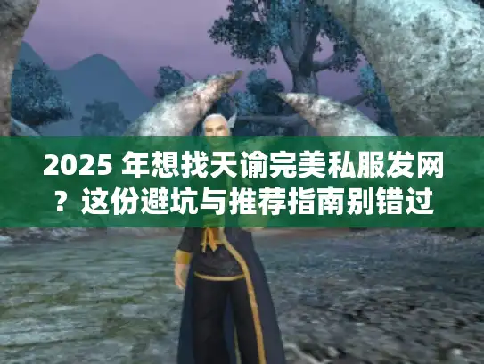 2025 年想找天谕完美私服发网？这份避坑与推荐指南别错过！