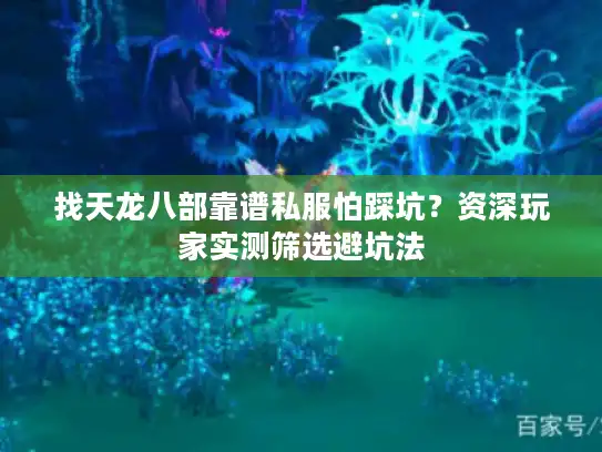找天龙八部靠谱私服怕踩坑？资深玩家实测筛选避坑法