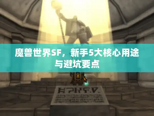 魔兽世界SF，新手5大核心用途与避坑要点