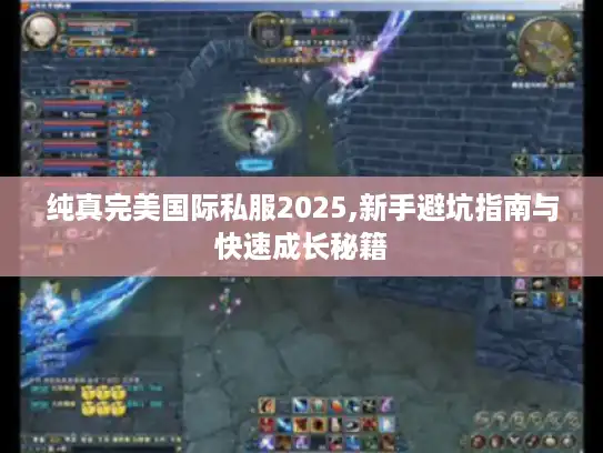 纯真完美国际私服2025,新手避坑指南与快速成长秘籍