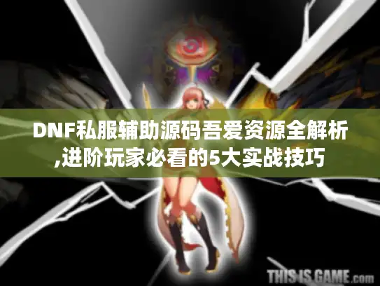 DNF私服辅助源码吾爱资源全解析,进阶玩家必看的5大实战技巧