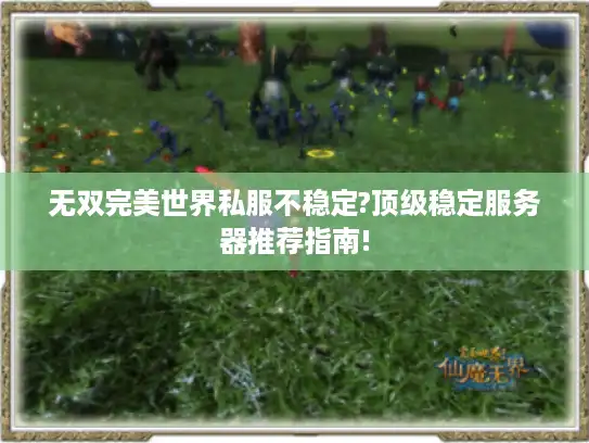 无双完美世界私服不稳定?顶级稳定服务器推荐指南!
