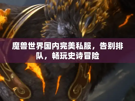 魔兽世界国内完美私服，告别排队，畅玩史诗冒险