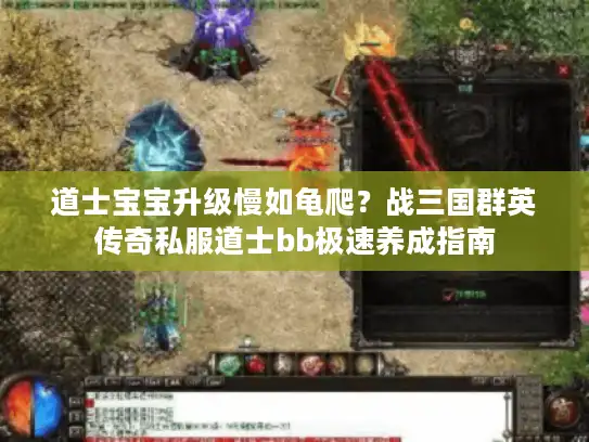 道士宝宝升级慢如龟爬？战三国群英传奇私服道士bb极速养成指南