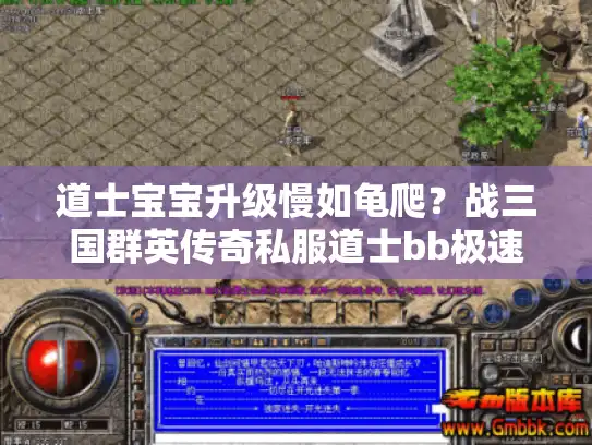 道士宝宝升级慢如龟爬？战三国群英传奇私服道士bb极速养成指南