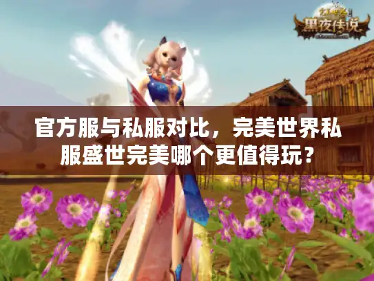 官方服与私服对比,完美世界私服盛世完美哪个更值得玩? 官方服与私服对比,完美世界私服盛世完美哪个更值得玩?