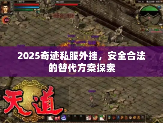 2025奇迹私服外挂，安全合法的替代方案探索