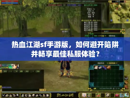 热血江湖sf手游版，如何避开陷阱并畅享最佳私服体验？