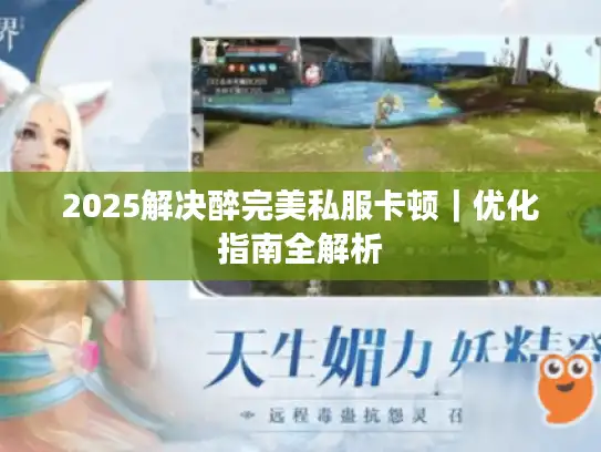 2025解决醉完美私服卡顿｜优化指南全解析