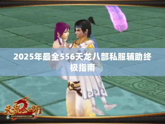 2025年最全556天龙八部私服辅助终极指南 2025年最全556天龙八部私服辅助终极指南