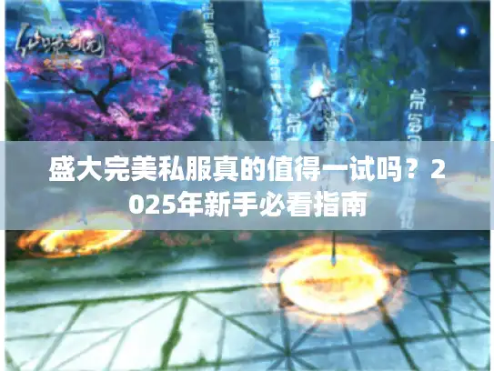 盛大完美私服真的值得一试吗?2025年新手必看指南 盛大完美私服真的值得一试吗?2025年新手必看指南