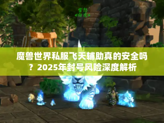 魔兽世界私服飞天辅助真的安全吗？2025年封号风险深度解析