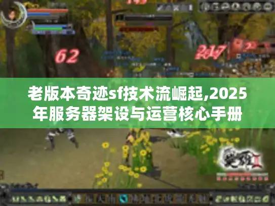 老版本奇迹sf技术流崛起,2025年服务器架设与运营核心手册 老版本奇迹sf技术流崛起,2025年服务器架设与运营核心手册