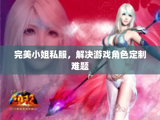完美小姐私服，解决游戏角色定制难题