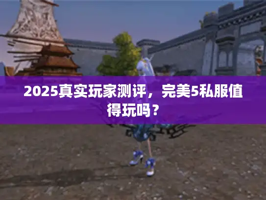 2025真实玩家测评，完美5私服值得玩吗？