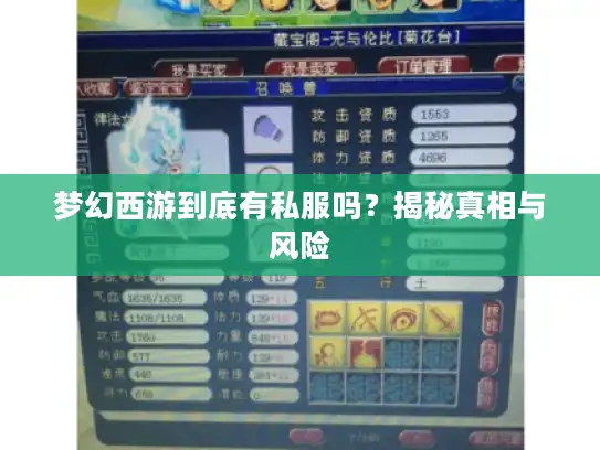 梦幻西游到底有私服吗？揭秘真相与风险