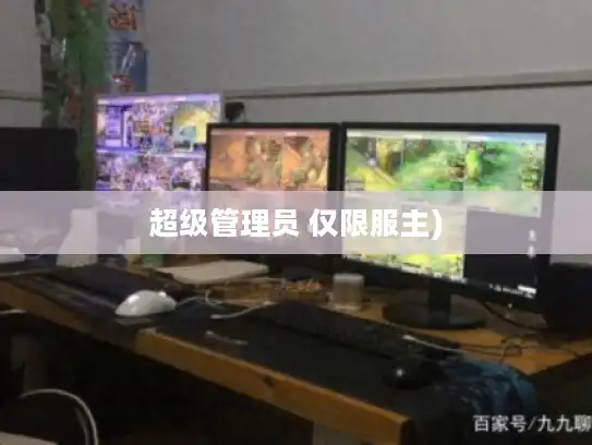 超级管理员 仅限服主)
