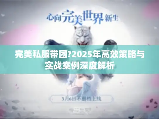 完美私服带团?2025年高效策略与实战案例深度解析