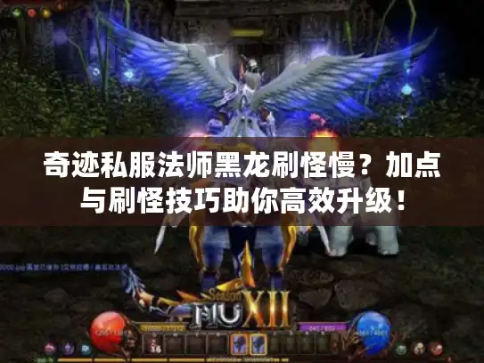 奇迹私服法师黑龙刷怪慢？加点与刷怪技巧助你高效升级！