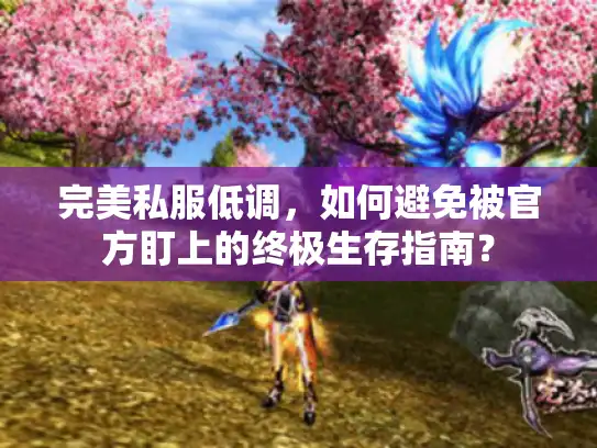完美私服低调，如何避免被官方盯上的终极生存指南？