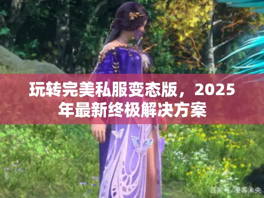 玩转完美私服变态版，2025年最新终极解决方案