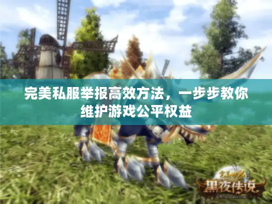 完美私服举报高效方法,一步步教你维护游戏公平权益 完美私服举报高效方法,一步步教你维护游戏公平权益