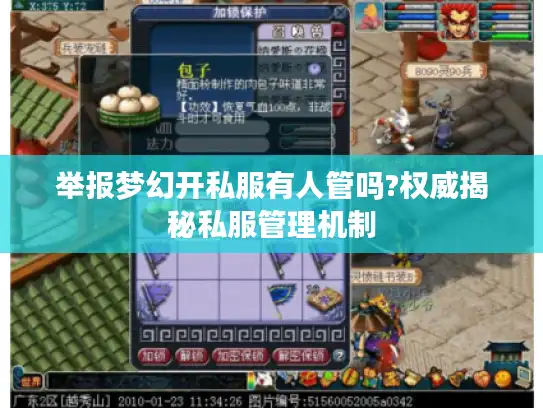 举报梦幻开私服有人管吗?权威揭秘私服管理机制