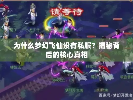 为什么梦幻飞仙没有私服？揭秘背后的核心真相