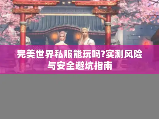 完美世界私服能玩吗?实测风险与安全避坑指南