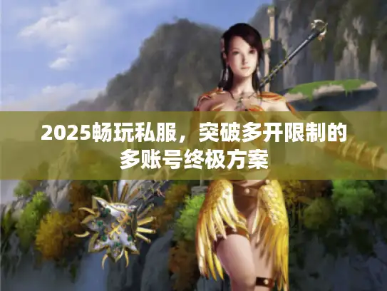 2025畅玩私服，突破多开限制的多账号终极方案