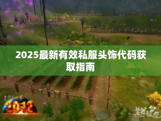 2025最新有效私服头饰代码获取指南 2025最新有效私服头饰代码获取指南
