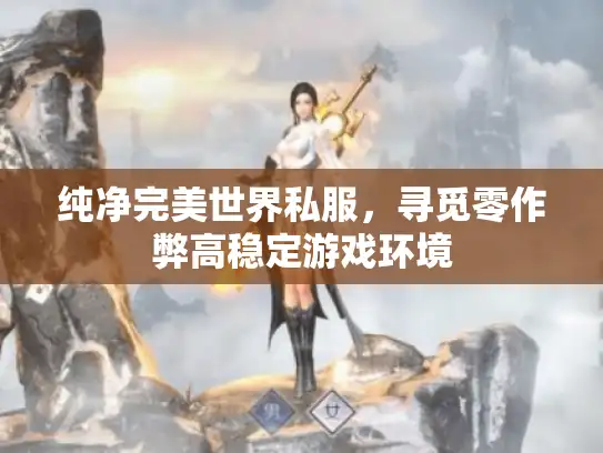 纯净完美世界私服，寻觅零作弊高稳定游戏环境