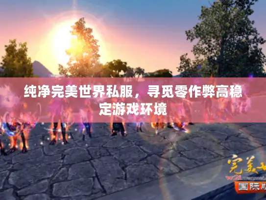 纯净完美世界私服，寻觅零作弊高稳定游戏环境