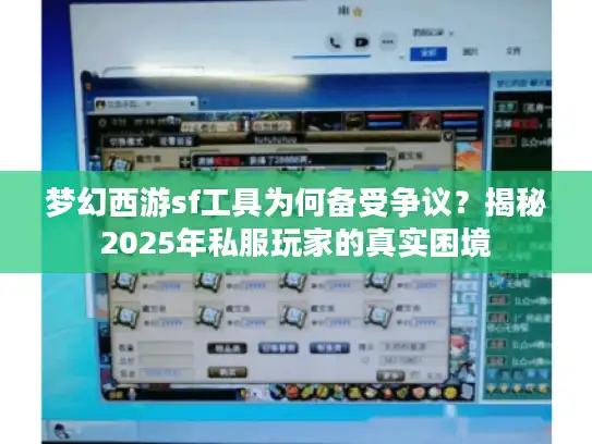 梦幻西游sf工具为何备受争议？揭秘2025年私服玩家的真实困境