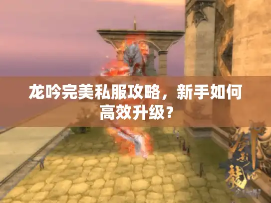 龙吟完美私服攻略，新手如何高效升级？