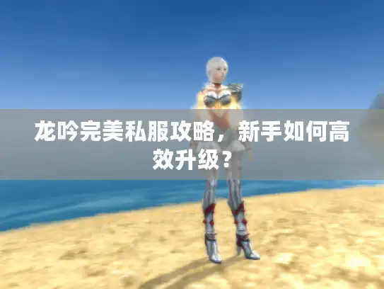 龙吟完美私服攻略，新手如何高效升级？