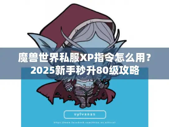 魔兽世界私服XP指令怎么用？2025新手秒升80级攻略