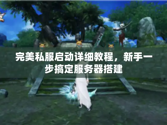 完美私服启动详细教程，新手一步搞定服务器搭建