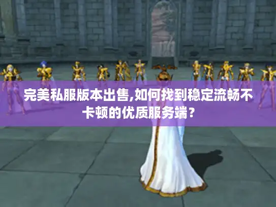完美私服版本出售,如何找到稳定流畅不卡顿的优质服务端？