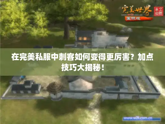 在完美私服中刺客如何变得更厉害？加点技巧大揭秘！