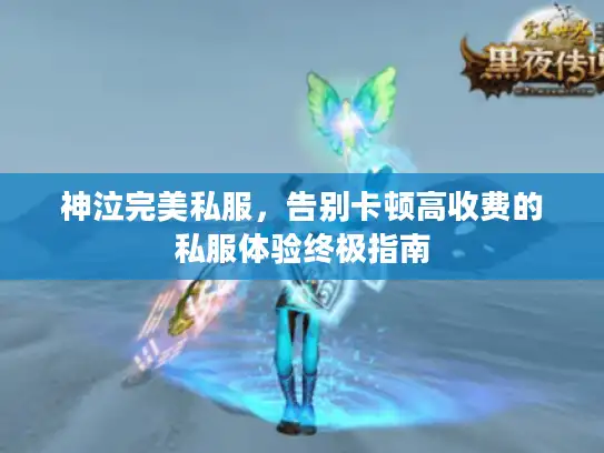 神泣完美私服,告别卡顿高收费的私服体验终极指南 神泣完美私服,告别卡顿高收费的私服体验终极指南